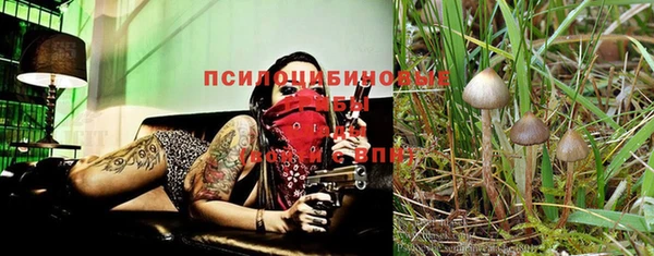марки nbome Лиски