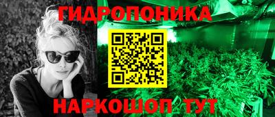 сатива Кунгур