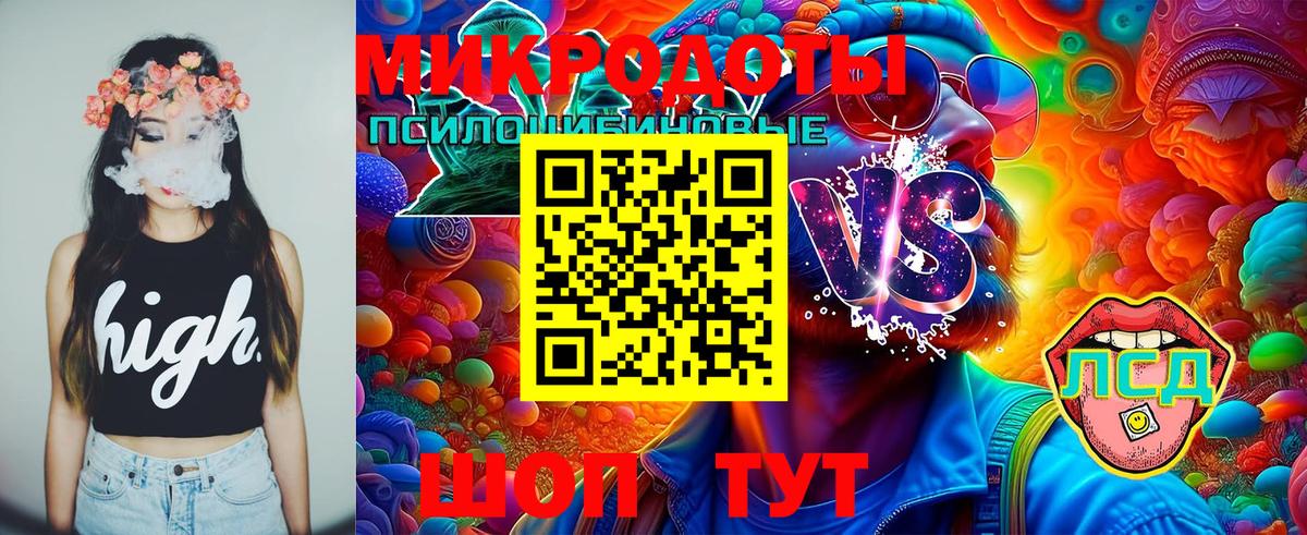 Галлюциногенные грибы Psilocybine cubensis Находка